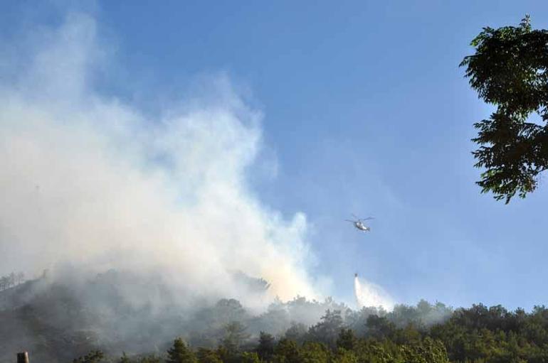 Antalyada orman yangını