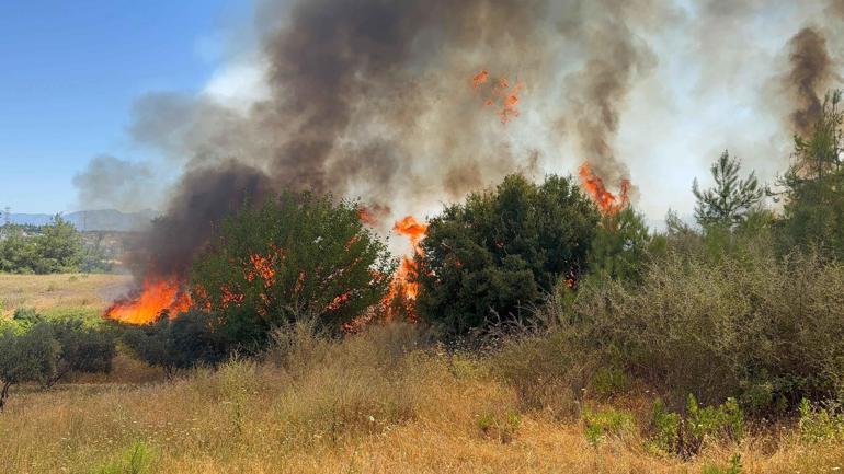 Antalya Aksuda orman yangını kontrol altında