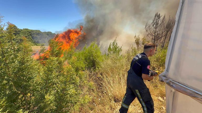 Antalya Aksuda orman yangını