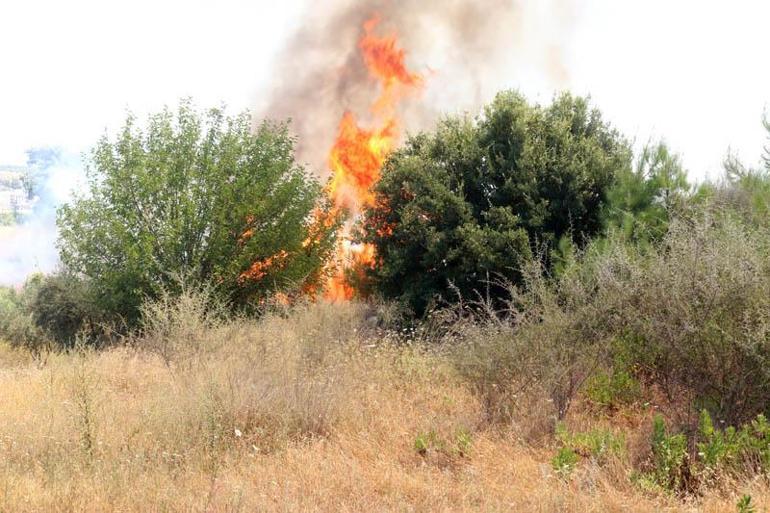 Antalya Aksuda orman yangını kontrol altında