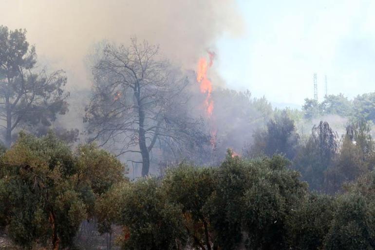 Antalya Aksuda orman yangını kontrol altında