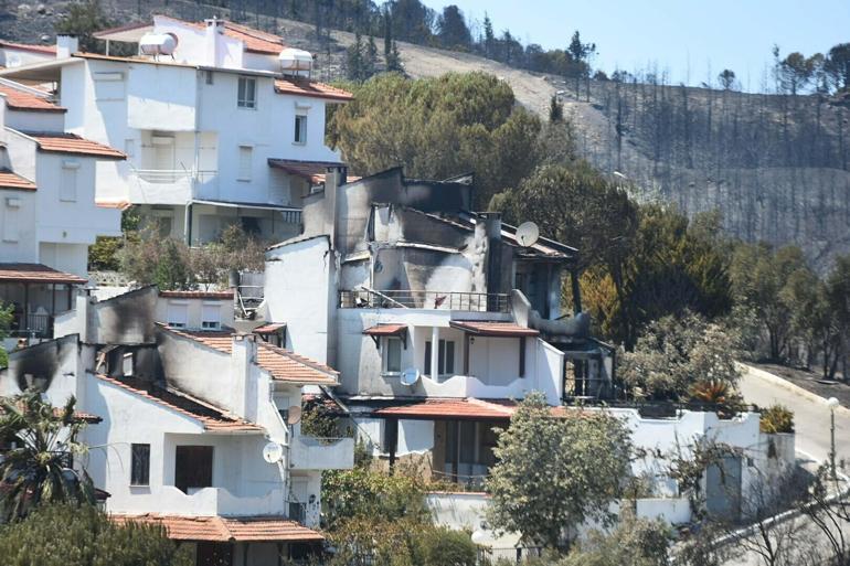 İzmirdeki orman yangını 2nci gününde