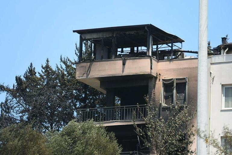 İzmirdeki orman yangını 2nci gününde