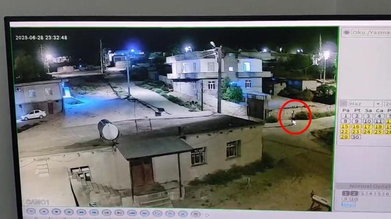 Evinin bahçesindeki kadının husumetlileri tarafından öldürüldüğü silahlı saldırı kamerada