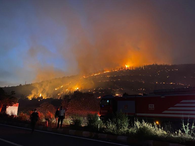 İzmirdeki orman yangını 2nci gününde