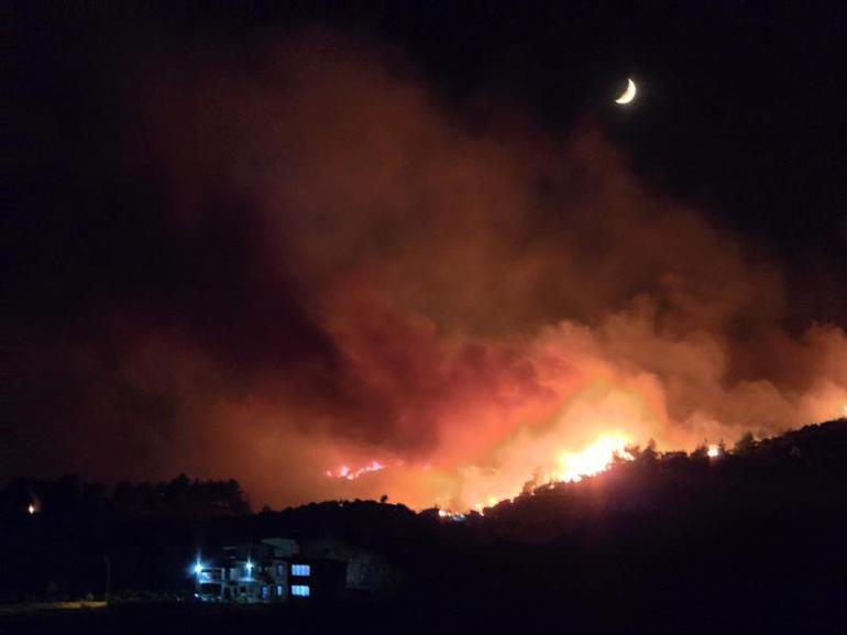 Hatayda orman yangını