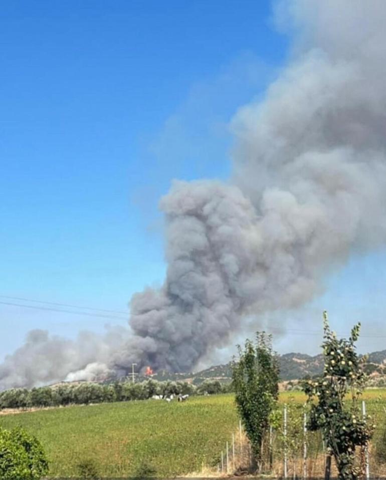 Manisada çöplük yangını ormana sıçradı