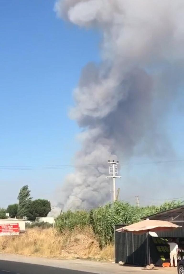 Manisada çöplük yangını ormana sıçradı