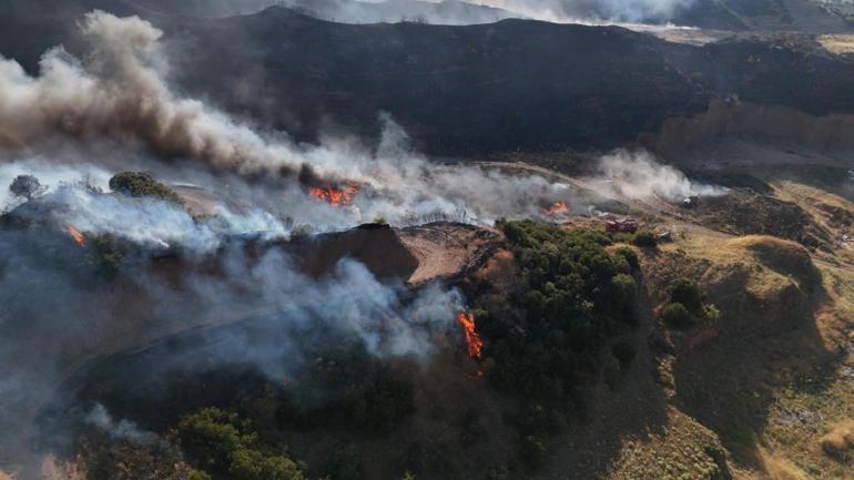 Manisada çöplük yangını ormana sıçradı