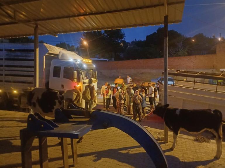 Manisada çöplük yangını ormana sıçradı