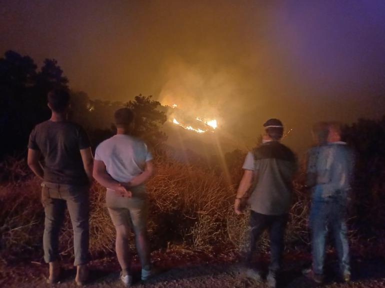 Manisada çöplük yangını ormana sıçradı