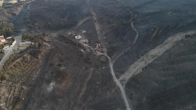 İzmirdeki orman yangını 3ncü gününde