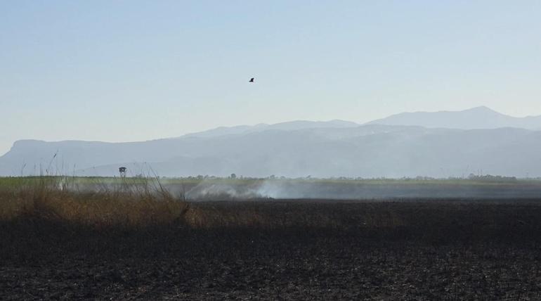 Kuş cenneti Göksu Deltasında yangında zarar gören alan havadan görüntülendi