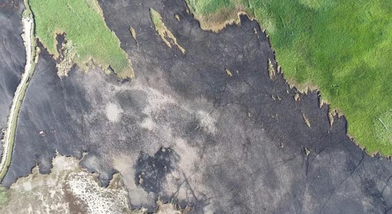 Kuş cenneti Göksu Deltasında yangında zarar gören alan havadan görüntülendi