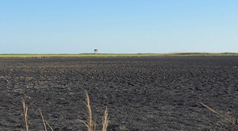 Kuş cenneti Göksu Deltasında yangında zarar gören alan havadan görüntülendi