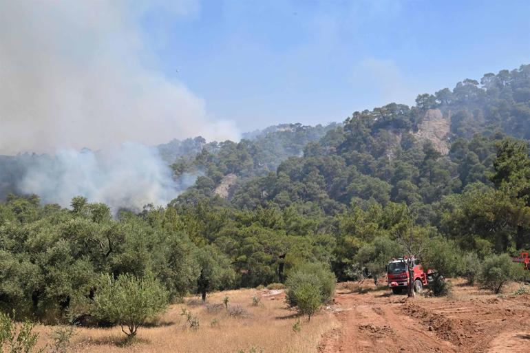 Manisanın 4 ilçesinde yangın; 3 ilçede yangın kontrol altında