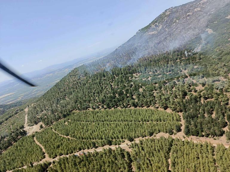 Manisanın 4 ilçesinde yangın; 3 ilçede yangın kontrol altında