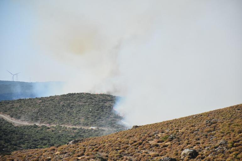 İzmirdeki orman yangını 3ncü gününde