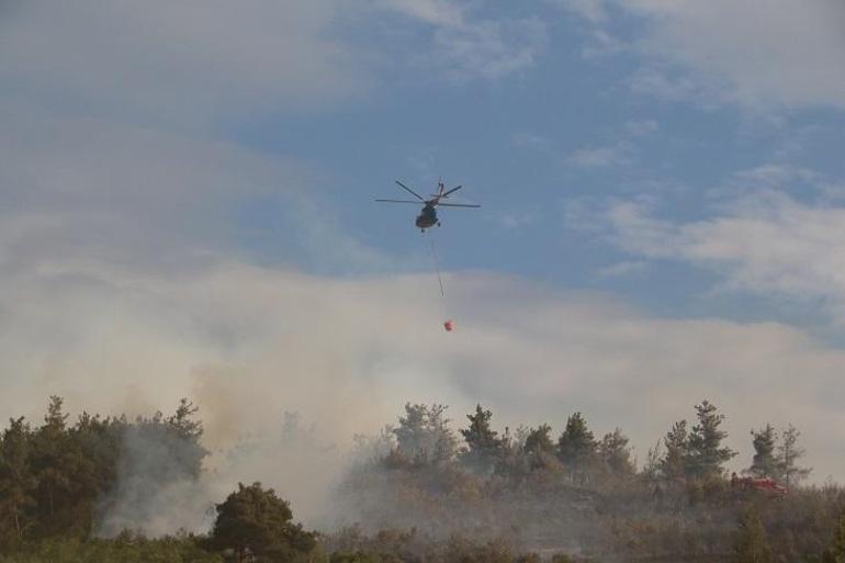 Bilecik’te çıkan orman yangını kontrol altında