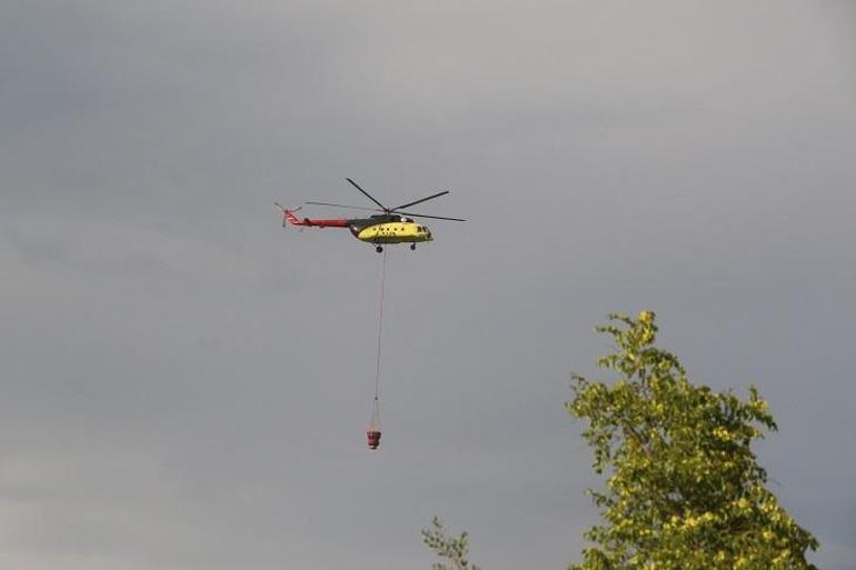 Bilecik’te çıkan orman yangını kontrol altında