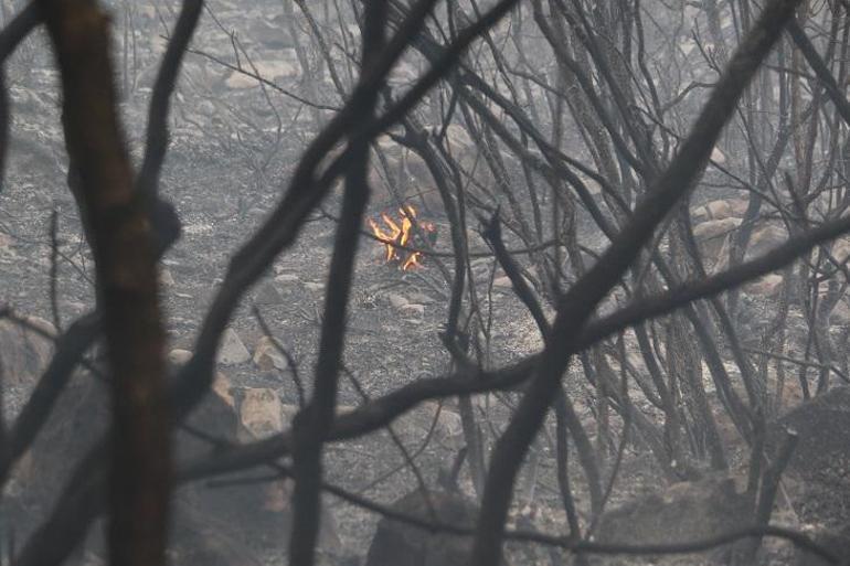 Bilecik’te çıkan orman yangını kontrol altında