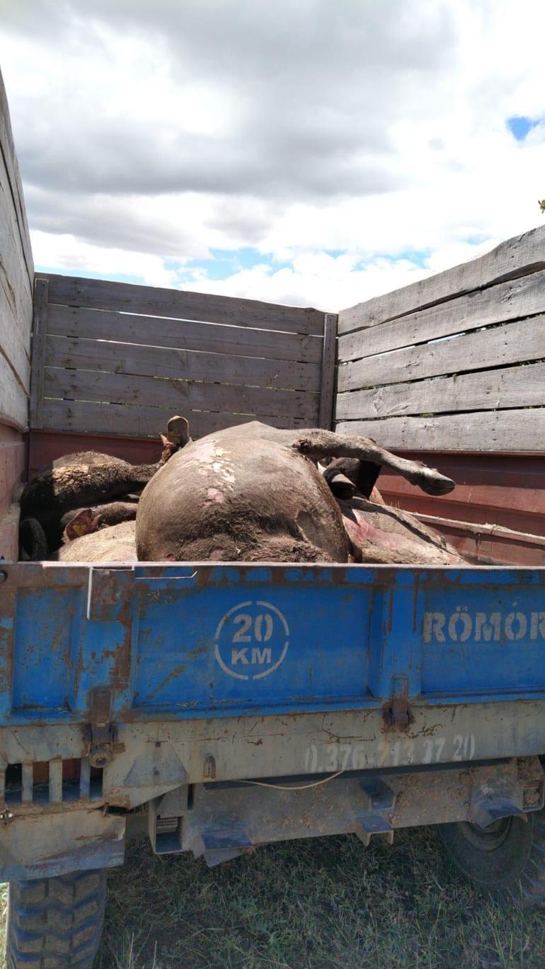 Giresun’da ahırda çıkan yangında 9 büyükbaş öldü