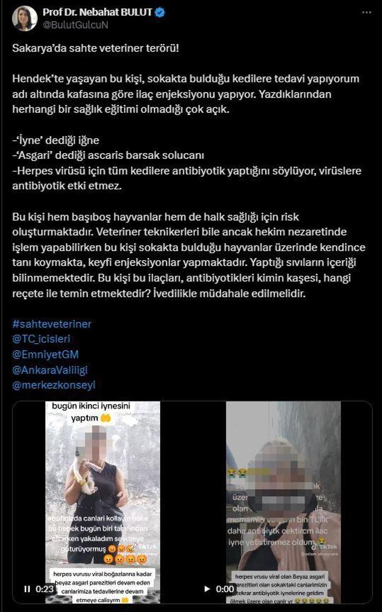 Sokak kedilerine iğne yapıp sosyal medyadan paylaşan kadına hayvanseverlerden tepki