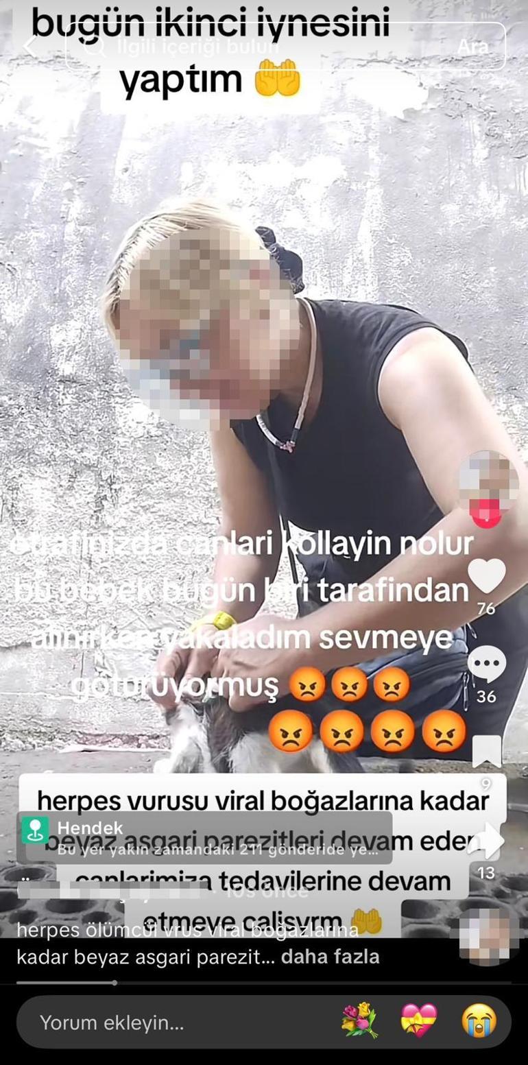 Sokak kedilerine iğne yapıp sosyal medyadan paylaşan kadına hayvanseverlerden tepki