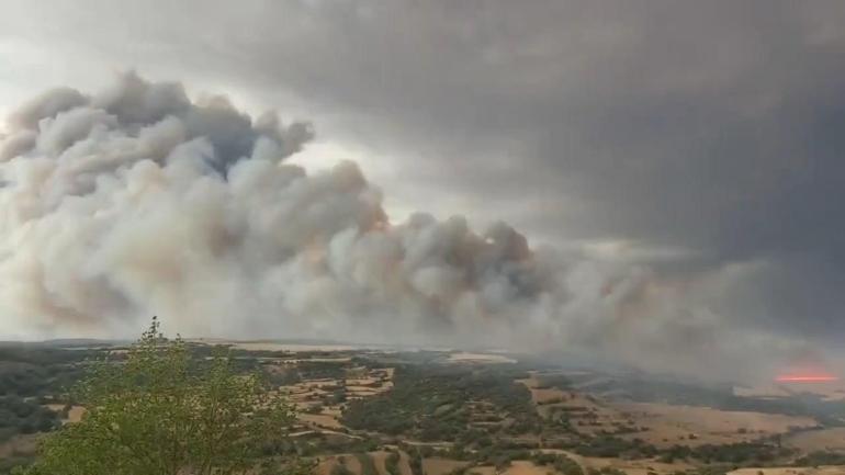 İspanyada orman yangını: 2 ölü