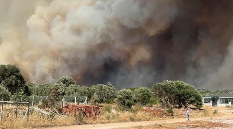 İzmir Çeşmede orman yangını
