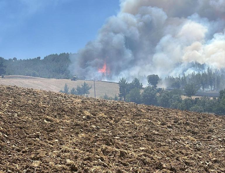 Kütahyada tarım arazisinde çıkan yangın ormana sıçradı