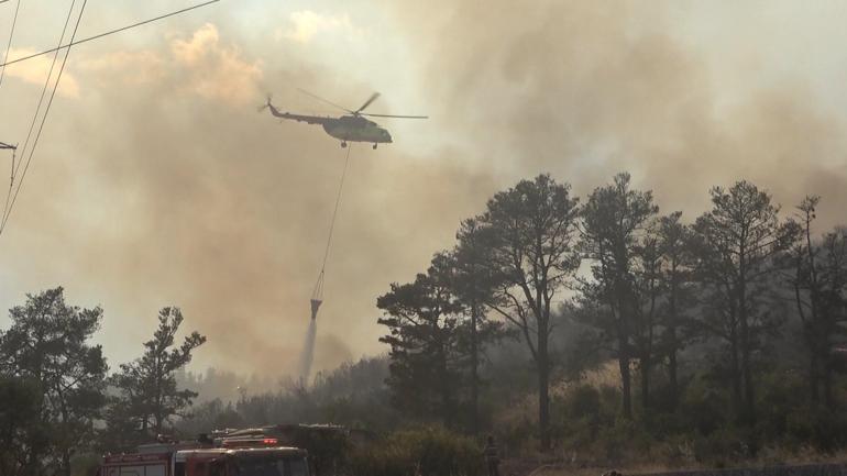 Kocaelide çıkan orman yangını kontrol altında