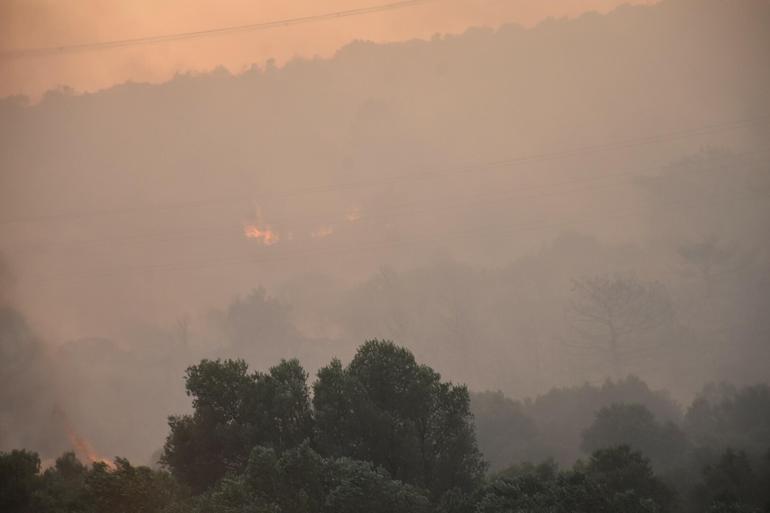 İzmir Çeşmede orman yangını
