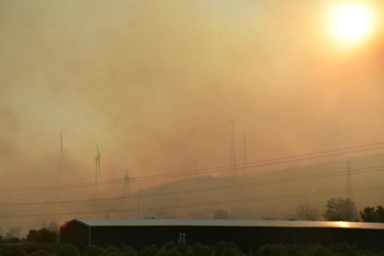 İzmir Çeşmede orman yangını