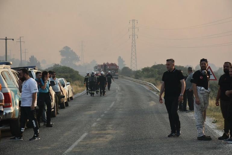 İzmir Çeşmede orman yangını