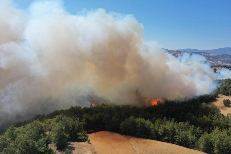 Kütahyada çıkan orman yangını kontrol altında