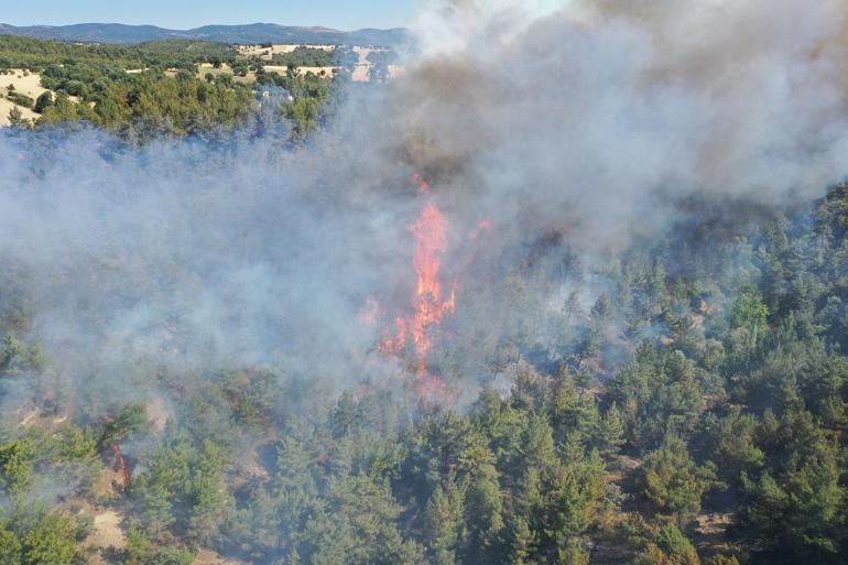 Kütahyada çıkan orman yangını kontrol altında