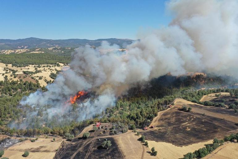 Kütahyada çıkan orman yangını kontrol altında
