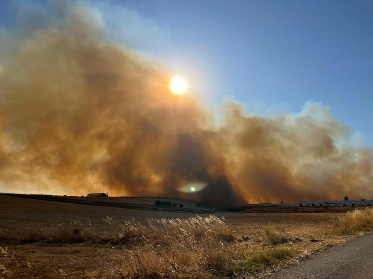 Manisa’da çıkan yangın İzmir’e ulaştı