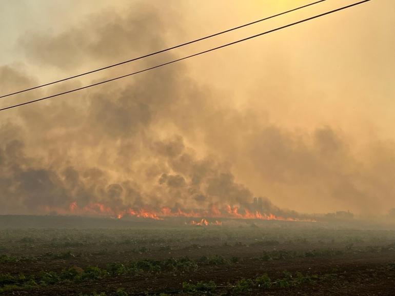 Manisa’da çıkan yangın İzmir’e ulaştı