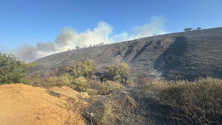 Manisa’da çıkan yangın İzmir’e ulaştı