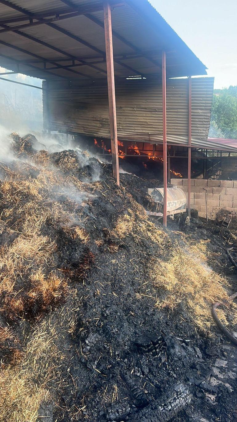 Adanada ahır yangınında 5 inek öldü