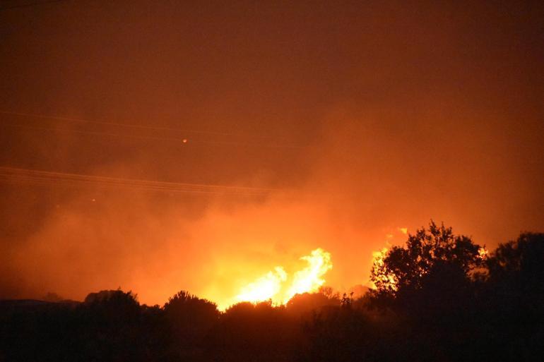 İzmir Çeşmede orman yangını
