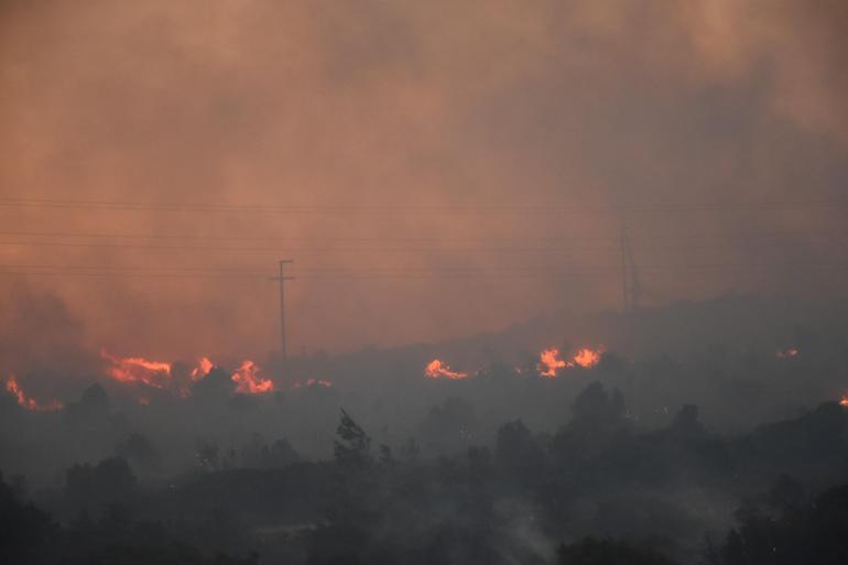 İzmir Çeşmede orman yangını