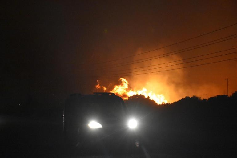 İzmir Çeşmede orman yangını