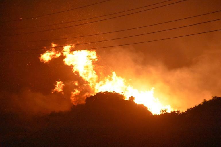 İzmir Çeşmede orman yangını