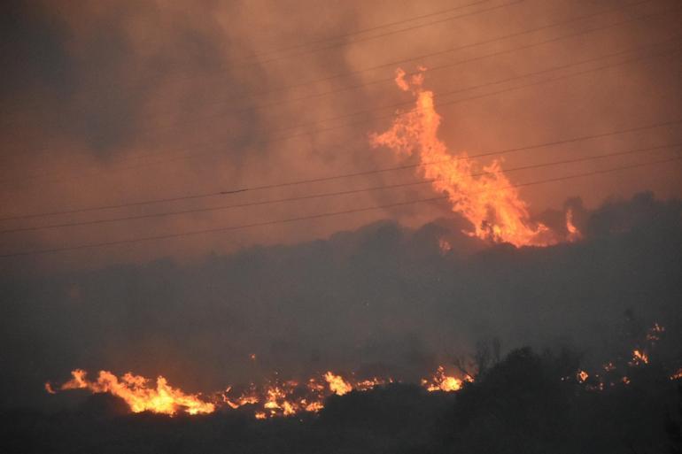 İzmir Çeşmede orman yangını