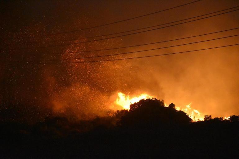 İzmir Çeşmede orman yangını