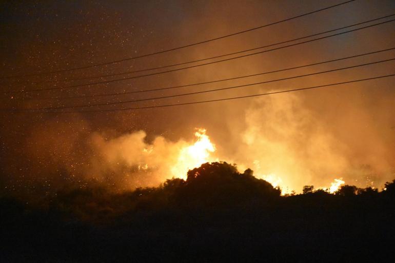 İzmir Çeşmede orman yangını