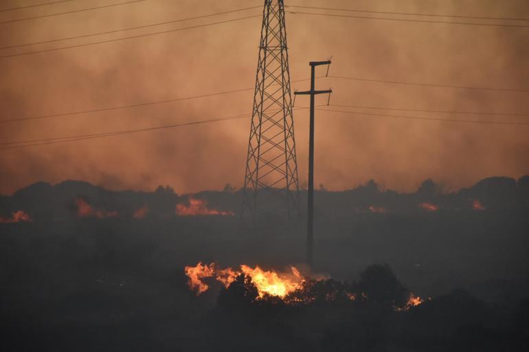 İzmir Çeşmede orman yangını